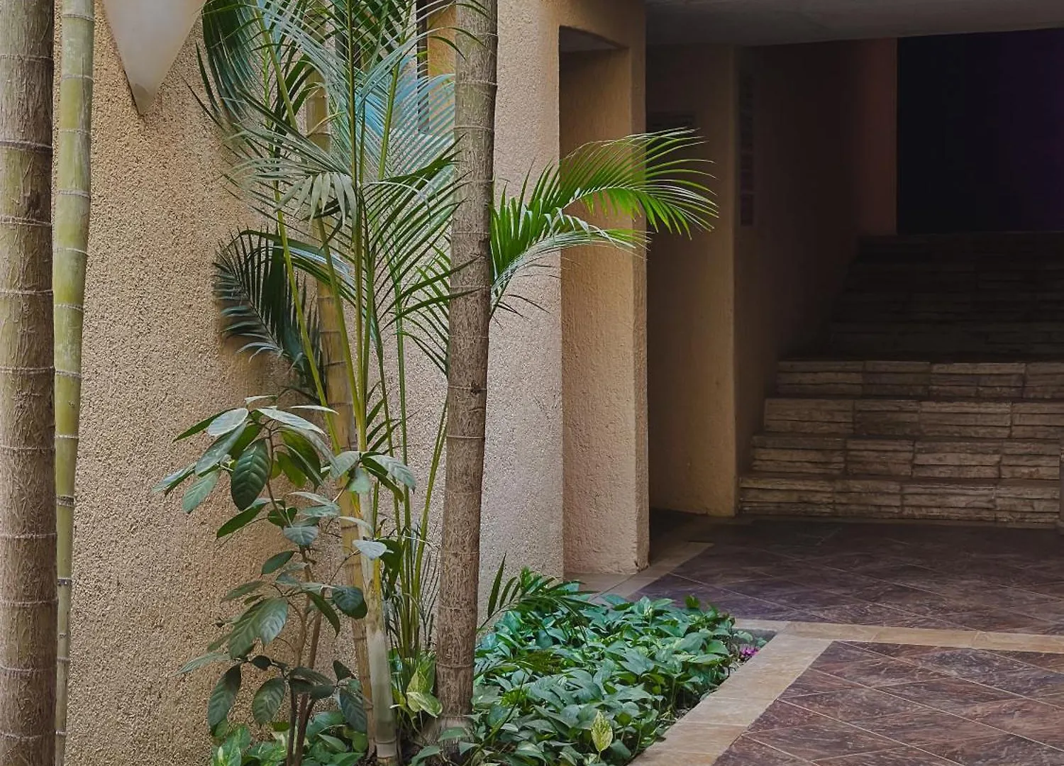 Hotel Los Patios Кабо-Сан-Лукас