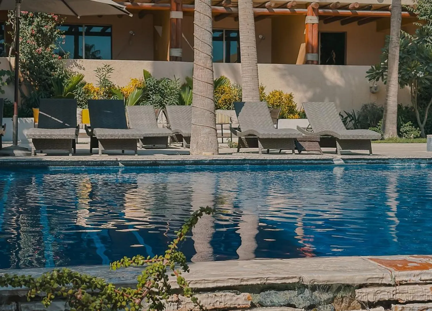 Hotel Los Patios Кабо-Сан-Лукас