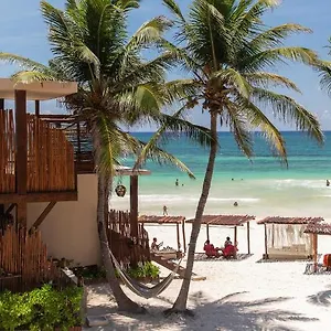 la-zebra-a-colibri-boutique-hotel.tulum-hotels.net/