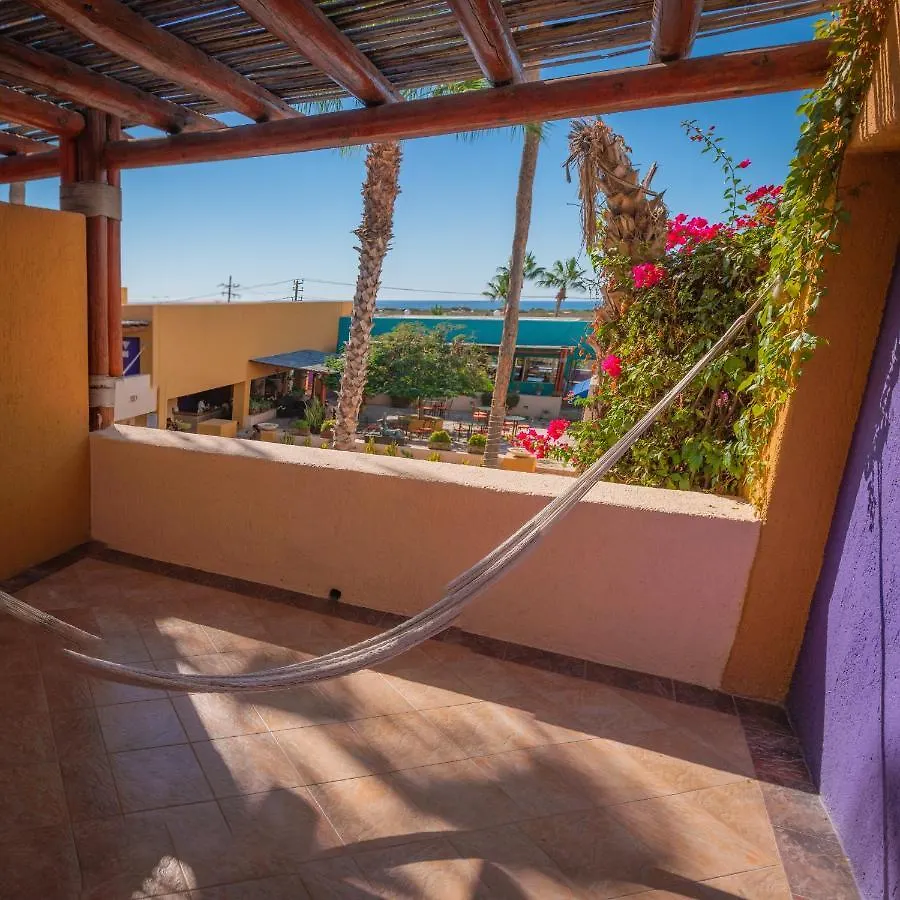****  Hotel Los Patios كابو سان لوكاس المكسيك
