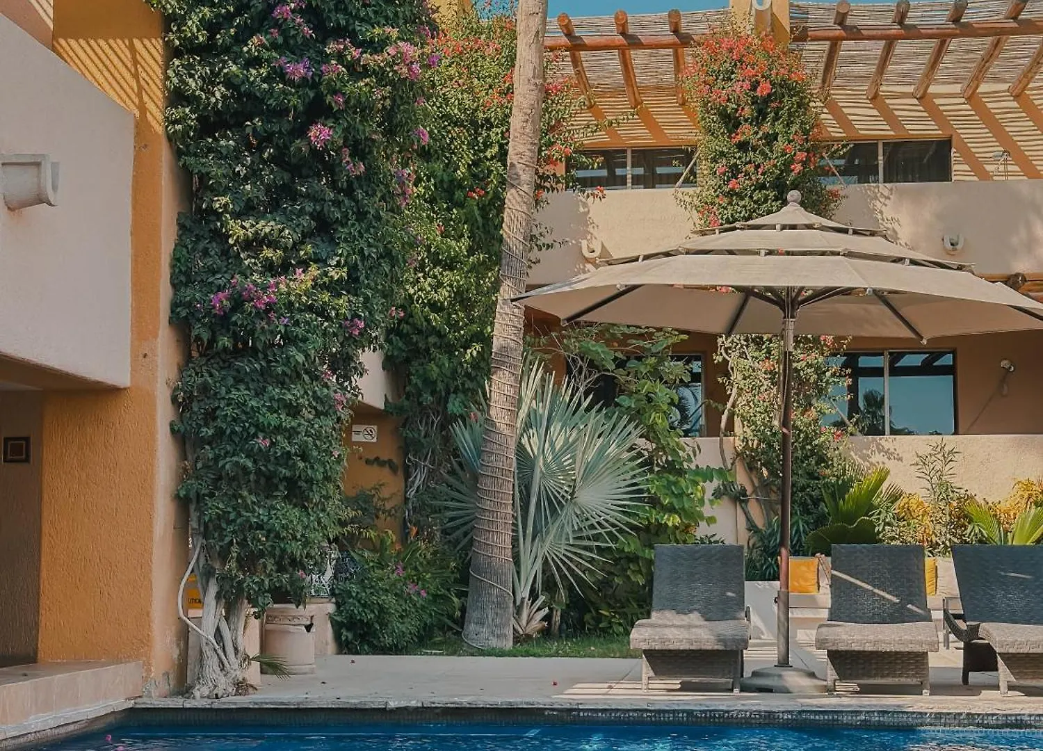 Hotel Los Patios كابو سان لوكاس 4*,