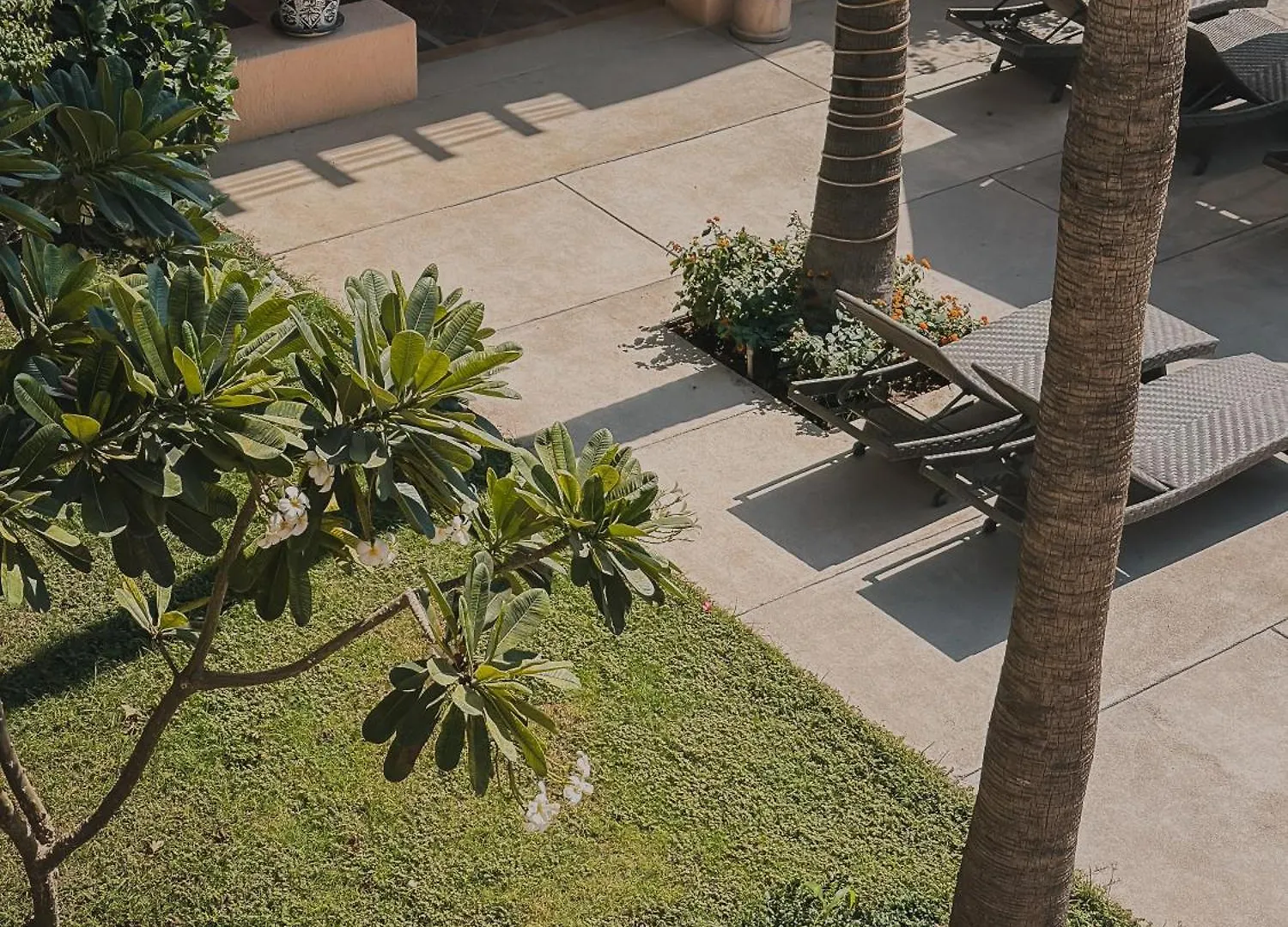 Hotel Los Patios كابو سان لوكاس