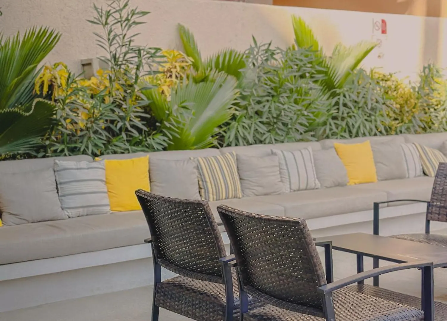 Hotel Los Patios كابو سان لوكاس المكسيك