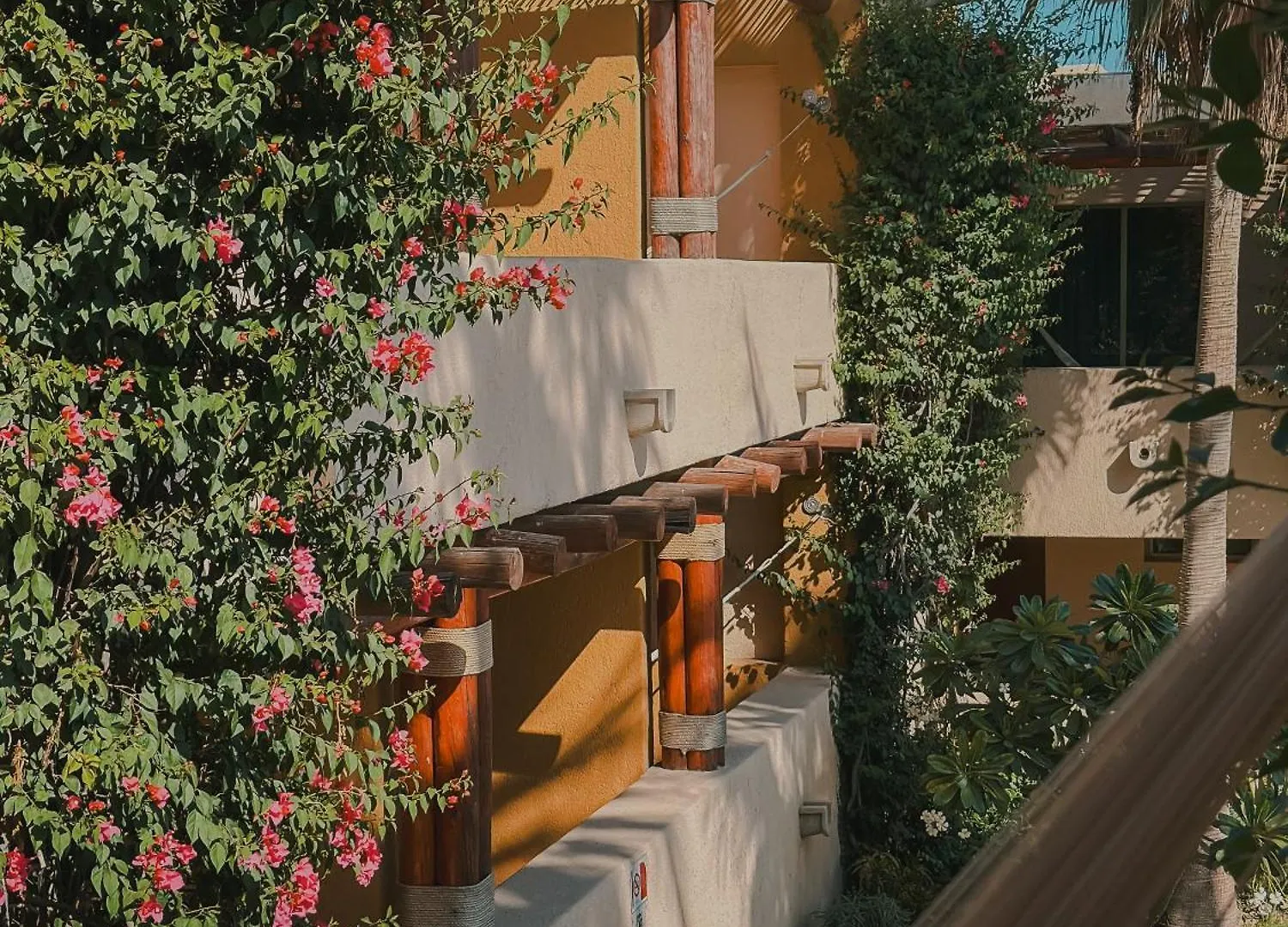 Hotel Los Patios كابو سان لوكاس