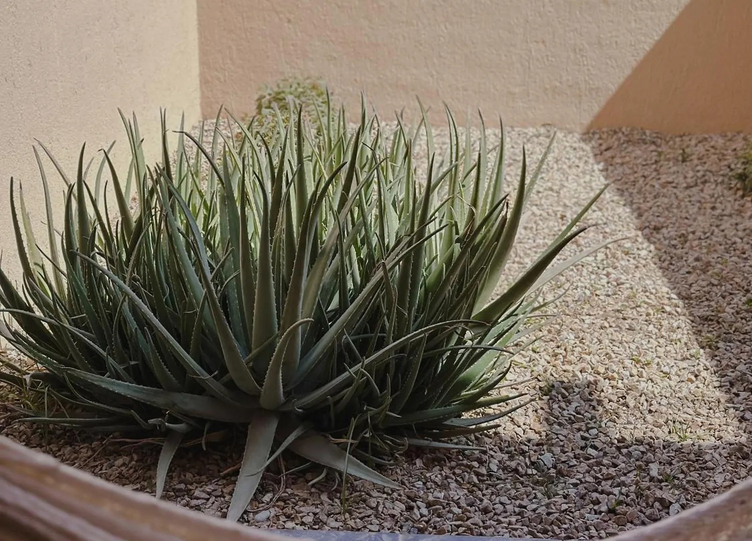 Hotel Los Patios كابو سان لوكاس 4*,  المكسيك
